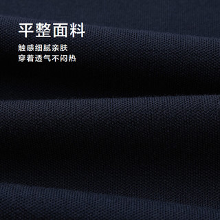 海澜之家（HLA）长袖POLO衫男25时尚翻领舒适长袖男秋季 浅灰条纹9S M 170/88A 125~136斤