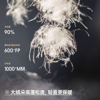 马登 MADEN2025秋冬排骨羽绒服90白鸭绒轻薄内搭上衣立领防风保暖外套女 牛油果绿 XL