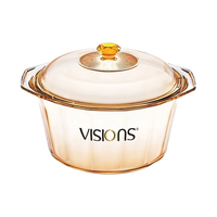 VISIONS 康宁 晶钻系列 VS-5-DI/CN 汤锅(24.5cm、5L、玻璃)