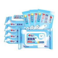 心相印 小刘鸭联名款 湿厕纸 40片*5包+5片*3包