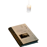 十扇窗 伟大的诗歌如何改变世界 (美)简·赫斯菲尔德 书籍小说书 新华书店 广西师范大学出版社