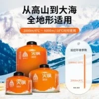 移动端、京东百亿补贴：Fire-Maple 户外扁气罐防爆丁烷液化气火枫G2*2