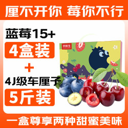 京鲜生  云南蓝莓4盒+4J级车厘子5斤