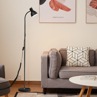 拾光记忆 原黑落地灯 6瓦遥控调光