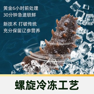 【臻选】4星BAP冷冻有机海参辽参非即食精选水产 500g