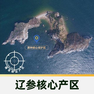 【臻选】4星BAP冷冻有机海参辽参非即食精选水产 500g