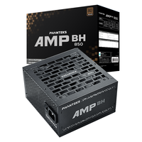 追风者追风者AMP BH 额定850W 铜牌黑色台式电脑电源(ATX3.1/PCIE5.1/主动式PFC/蟒纹线/理线梳/5060)