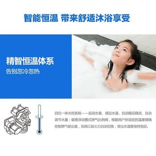 能率 JSQ22-N5 11升恒温强排式燃气热水器