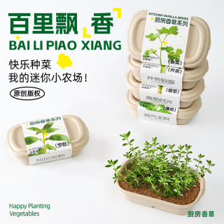 小花农 儿童蔬菜种植生长观察实验套装玩具