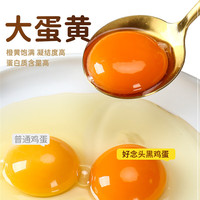 好念头始祖黑鸡可生食富硒鸡蛋 无菌营养早餐无抗土鸡蛋新鲜盒 可生食30枚富硒鸡蛋