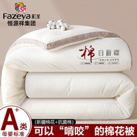 彩羊 恒源祥新疆被子  150x200cm4斤春秋被