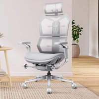享耀家 工学至尊A8 人体工学椅 8D扶手 极光银
