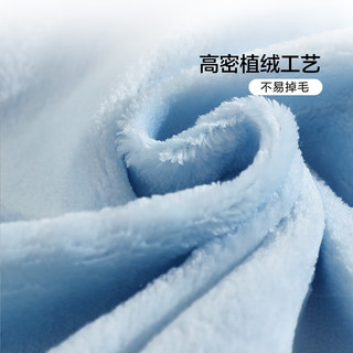 富安娜家纺单件床单牛奶绒冬季加厚床品法兰绒防静电床罩 230*240cm织光