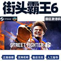  蒸汽平台 STEAM平台 《街霸6》标准版 PC数字版