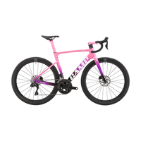  CAMP/坎普 碳纤维 公路车  皇家粉 24速