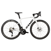 坎普（CAMP） SR7公路车碳纤维单车全隐藏式内走线综合车架赛车电子变速自行车 珍珠白 24速 490码 700C