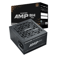 PHANTEKS/追风者 主动式PFC 台式电脑电源 蟒纹线 理线梳 750W