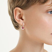 施华洛世奇（SWAROVSKI）SYMBOLICA施家“红”运马蹄造型耳环耳钉女圣诞骐骥红5736979