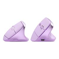 B.O.W航世 MD190mini 双模无线蓝牙鼠标人体工学静音电脑笔记本通用小手女生家用办公便携鼠标 星幕紫-双模鼠标+鼠标垫