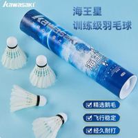 百亿补贴：KAWASAKI 星辰 羽毛球 训练级 10只