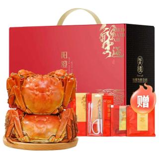 活蟹阳澄湖大闸蟹全母蟹3.5两新鲜特大鲜活螃蟹官方旗舰店礼盒装