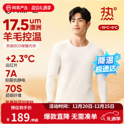 网易严选 热咖803羊毛控温加厚保暖内衣70S超细德绒美肤衣7A抗菌发热 男款-云白 L