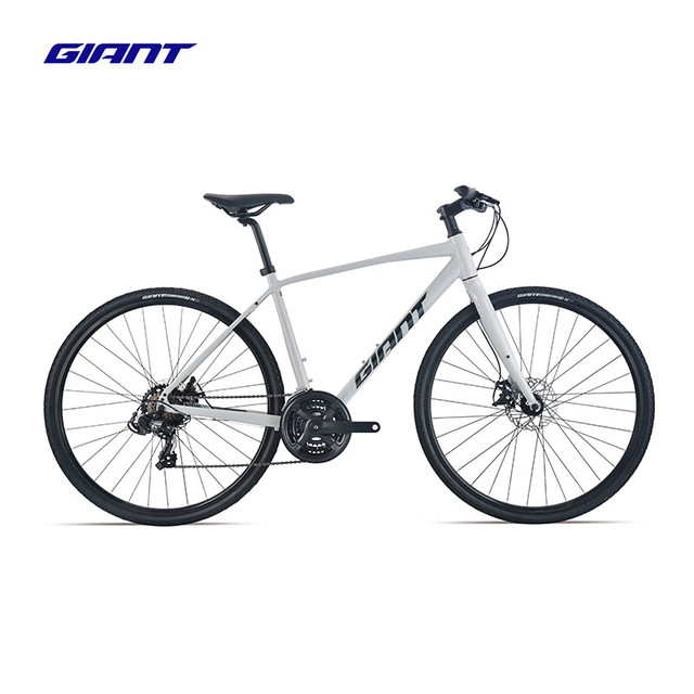 捷安特 Escape 2成人男城市休闲通勤21速机械碟刹健身平把公路自行车 大理石