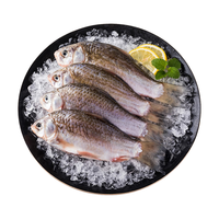 查干湖三去鲫鱼500g 新鲜冷冻淡水鱼去鳞去鳃去内脏净膛源头直发