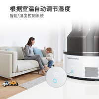 dyson 除菌循环湿润遥控式加湿器AM10（藏青铜色）
