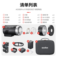  Godox/神牛 大功率 外拍闪光灯