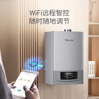 林内 RBS-24G56 恒温智控 燃气壁挂炉