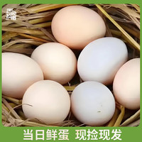 基诞鲜鸡蛋农家散养鸡蛋单枚约50g±5g营养早餐食材优质蛋白 30枚