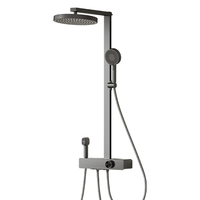 ARROW 箭牌 K530 AE34216MZGGW-P 淋浴花洒套装 灰色