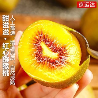 京运达 四川蒲江红心猕猴桃