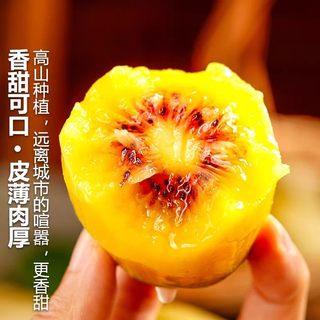 京运达 四川蒲江红心猕猴桃