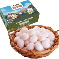 保卫蛋蛋新鲜鸽子蛋农家孕妇宝宝杂粮喂养送礼礼盒端午节送礼 