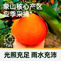 88VIP：天猫超市 象山红美人柑橘新鲜采摘香甜多汁新鲜爱媛果冻橙产地直发