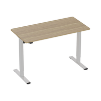 Loctek 乐歌 E2S 电动升降电脑桌 原木色+白色 1.2m 圆角款