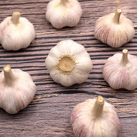 宝菜大蒜25年紫白皮干蒜产地红皮蒜大果新鲜大蒜生鲜蔬菜 3条装（5头/条 单果约5.0cm）