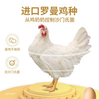 山春牧场无抗鲜鸡蛋谷物喂养鸡蛋营养早餐蛋 无抗鲜鸡蛋30枚/1.35kg