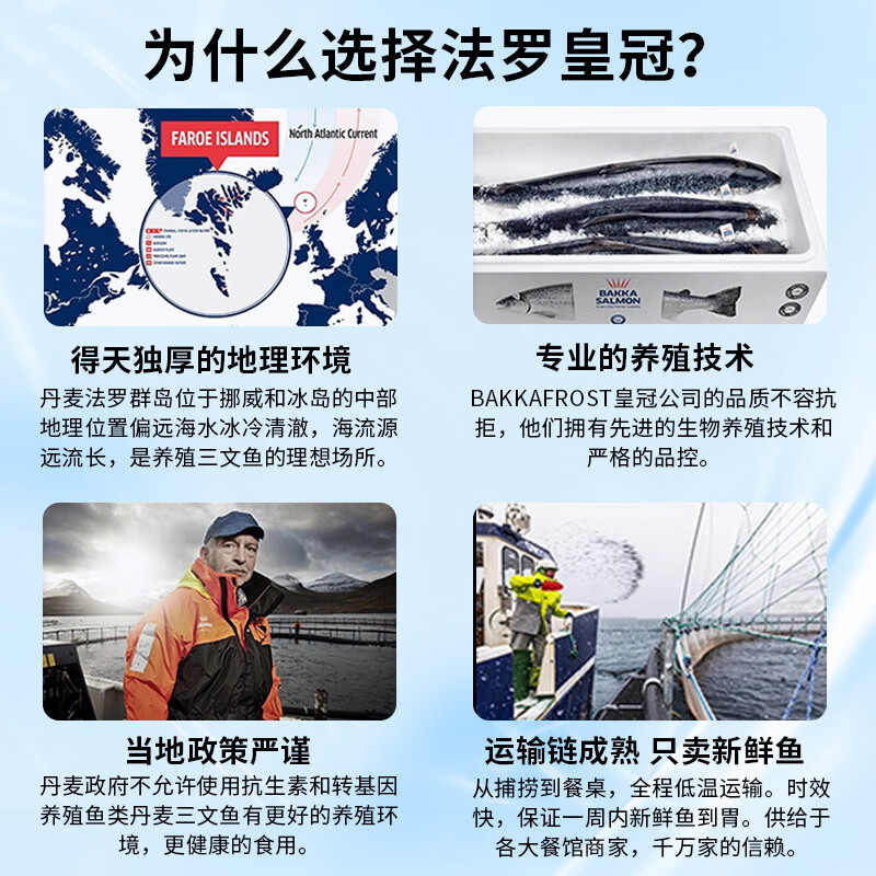 尝鲜生 挪威三文鱼整条刺身生吃冰鲜(大西洋鲑)拼盘生鲜鱼类精选中段 【法罗皇冠】 10斤 -11斤【分切留言】