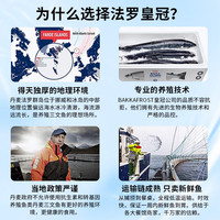 尝鲜生 挪威三文鱼整条刺身生吃冰鲜(大西洋鲑)拼盘生鲜鱼类精选中段 【法罗皇冠】 10斤 -11斤【分切留言】