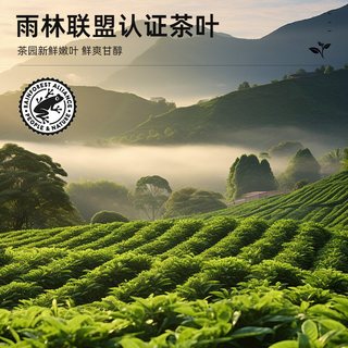 Lipton/立顿黄标红茶绿茶 精选茶叶袋泡茶组合装