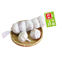 宝菜大蒜紫皮蒜头25年山东金乡地标产品带皮干蒜产地源头直发 3条装（5头/条 单果约5.0cm）