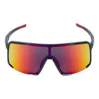 特斯拉 官方 运动骑行眼镜