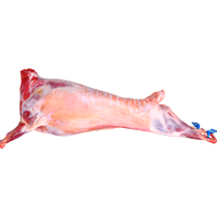 盐臻牧场宁夏滩羊肉 全羊整只羊23斤清真羊肉生鲜烤全羊年货礼盒 源头直发 【牧场精修】23斤全羊