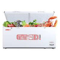 星星 BD/BC-728GE 冰柜 718L