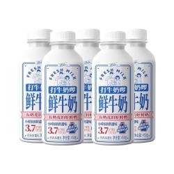 菊乐 鲜牛奶450g*5瓶巴氏杀菌低温早餐学生营养奶家用