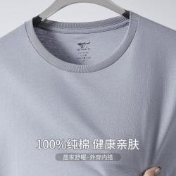 七匹狼 100%纯棉 男士短袖T恤