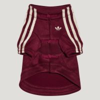 adidas 三叶草 新年款 宠物新中式外套